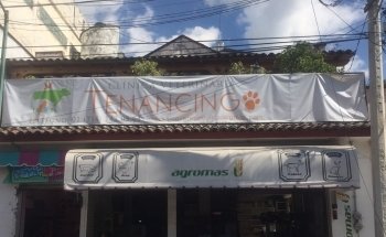 Clínica Veterinaria Tenancingo