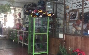 Clínica Veterinaria Tenancingo