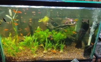 Acuario del Parque
