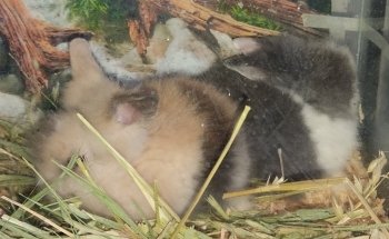 Acuario del Parque