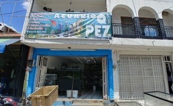 Acuario Q-Pez Diaz