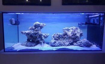Acuario Nautilus