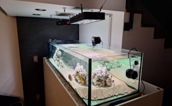 Acuario Nautilus