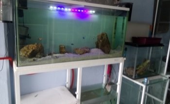 Aquarium Juan Peez