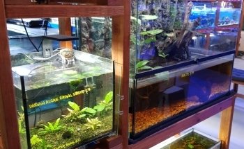 Fine Pebble Aquarium