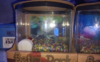 ACUARIO PECES AGUILAR UC