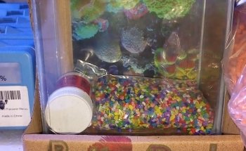 ACUARIO PECES AGUILAR UC