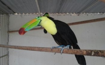 Acuario Nazas