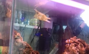 Aquarium