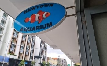 Newtown Aquarium