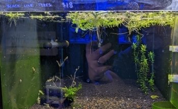 Newtown Aquarium