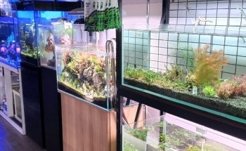 Newtown Aquarium