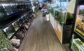 Newtown Aquarium
