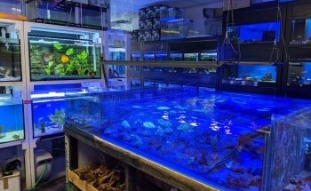 Newtown Aquarium