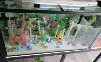 NACoZARI AQUARIUM