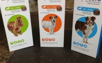Clínica Veterinaria Nicniuh