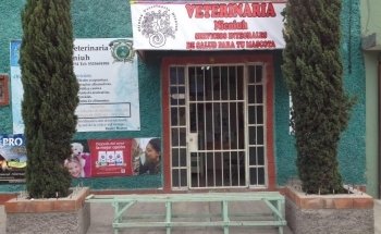 Clínica Veterinaria Nicniuh