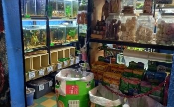 Aqualion acuario y tienda de mascotas