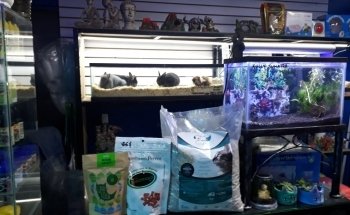 Aqualion acuario y tienda de mascotas