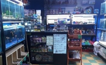 Aqualion acuario y tienda de mascotas