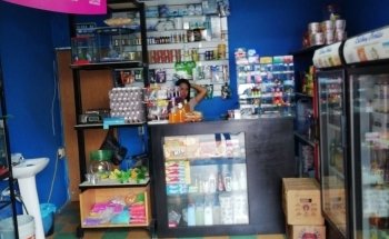 Aqualion acuario y tienda de mascotas