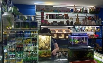 Aqualion acuario y tienda de mascotas