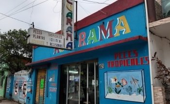 Acuarama
