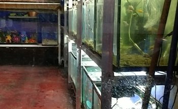 Acuario Esfera