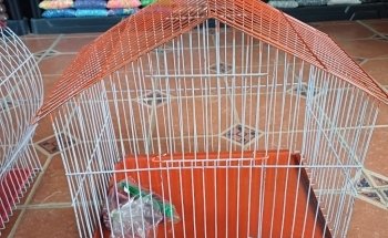 Acuario El Loto Púrpura