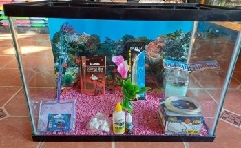 Acuario El Loto Púrpura