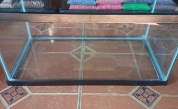 Acuario El Loto Púrpura