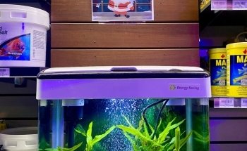 A1 Aquarium World