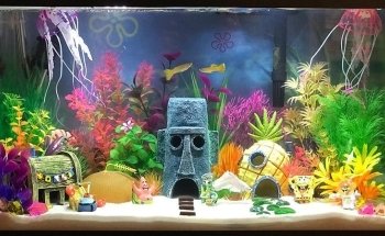 A1 Aquarium World