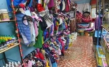 Estética Canina y Acuario 
