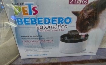 Estética Canina y Acuario 