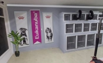 ZUmascota / Hospital Veterinario & Estética Canina