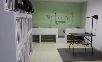 ZUmascota / Hospital Veterinario & Eestética Canina