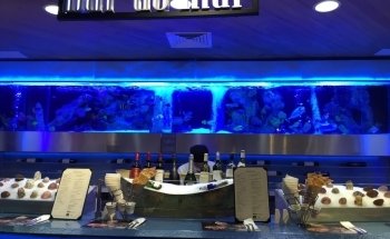 Acuario ReefServices