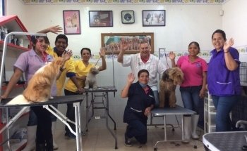 Clínica Veterinaria Monterrey