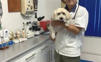 Clínica Veterinaria Monterrey
