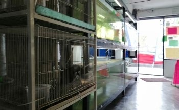 Acuario cieneguita