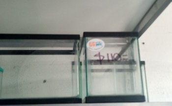 Acuario cieneguita