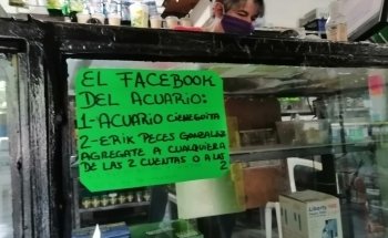 Acuario cieneguita