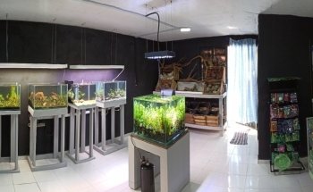 Acuario El Jovi