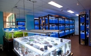 Hurstville Aquarium