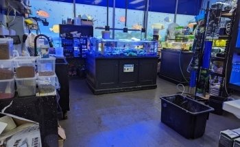 Hurstville Aquarium