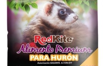 Veterinary Animal Kingdom