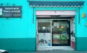 Veterinary Animal Kingdom