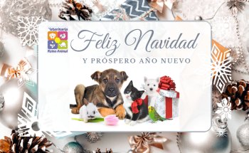 Veterinary Animal Kingdom