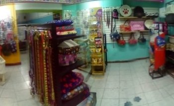 Veterinary Animal Kingdom